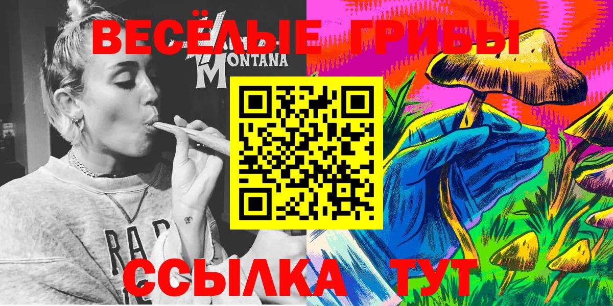 Псилоцибиновые грибы мухоморы  Псилоцибиновые грибы Psilocybe  дарнет шоп  Похвистнево  Вход с VPN 